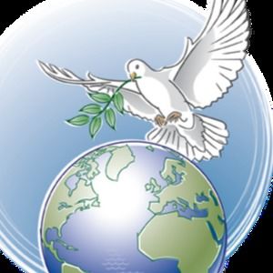 Meet your Posher, Sawsen